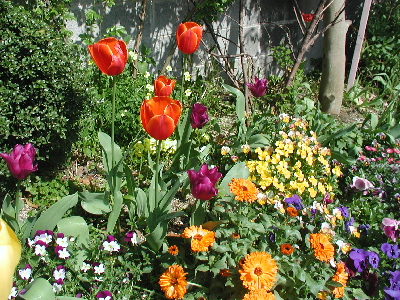 garden-040-200.JPG
