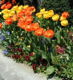 4/13