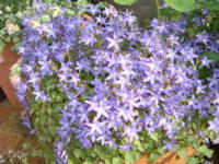 20040527s14.JPG