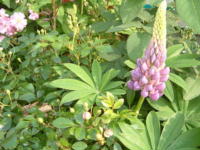 20040527s18.JPG