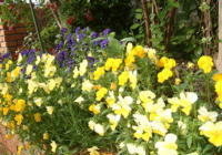 20040527s26.JPG