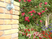 20040527s27.JPG