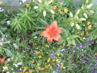 20040527s94.JPG