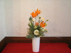 2005.3.8i