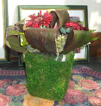 2005.10.4i