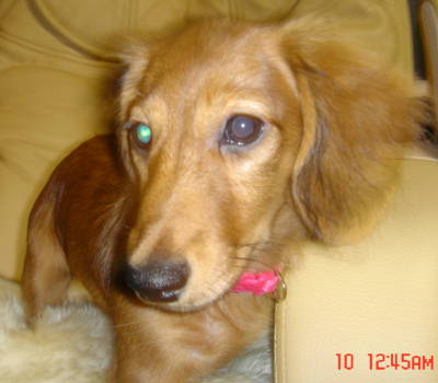 Luckey