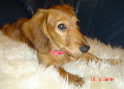 Luckey