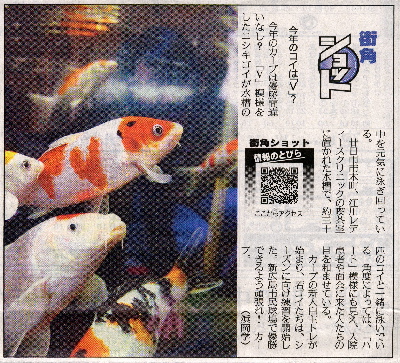 newspaperV-400.jpg