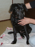 041206zabu-150.jpg
