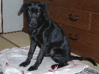 041206zabu2-200.jpg