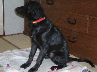 041206zabu3-200.jpg
