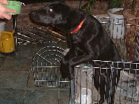 050107-200.jpg