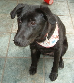 050122R101-150.jpg