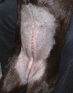 050122R83-150.jpg