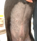 050124R111-150.jpg