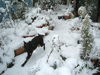 050201R114-200.jpg