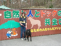 050410f11t200.jpg