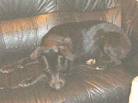 050803-04tl-200.jpg