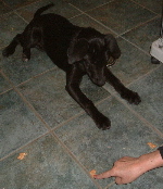 20041117-150.JPGG