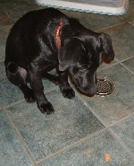 20041117-2-150.JPG