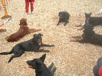 20050311-02t200.jpg