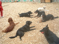 20050311-0t200.jpg
