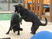 20050311-67t200.jpg