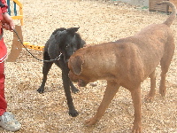 20050311-80t200.jpg
