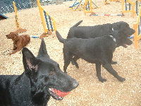 20050311-97t200.jpg