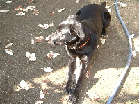 20050404-30t200.jpg