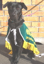 2005112-9tl-150.jpg