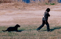 20051127-1-200.jpg