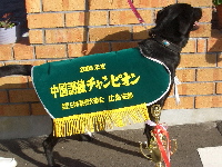 20051127-8t-200.jpg