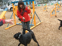 2005311-63t200.jpg