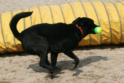 20070415-13t-400.jpg