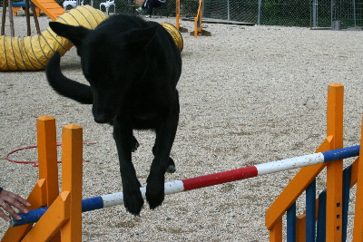 20070415-17t-400.jpg