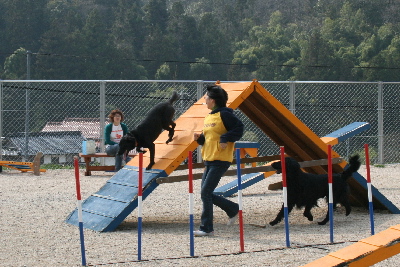 20070415-21t-400.jpg