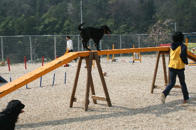 20070415-22t-400.jpg